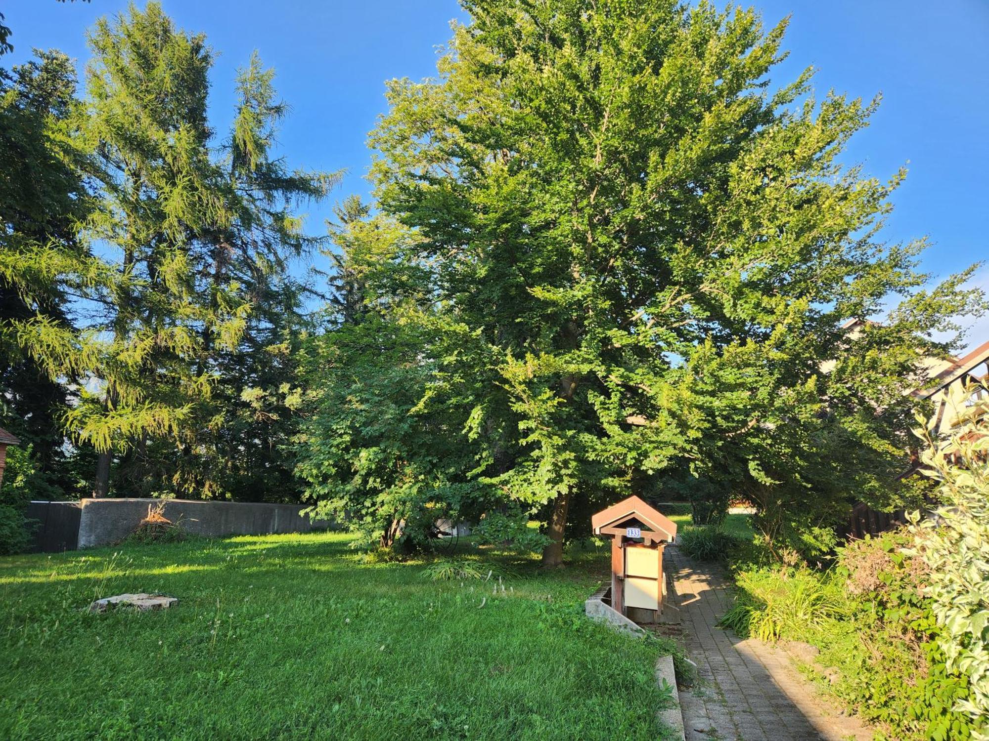 סן-בונה-אן-שאמפסו Appartement T3 Avec Jardin Proche Village מראה חיצוני תמונה